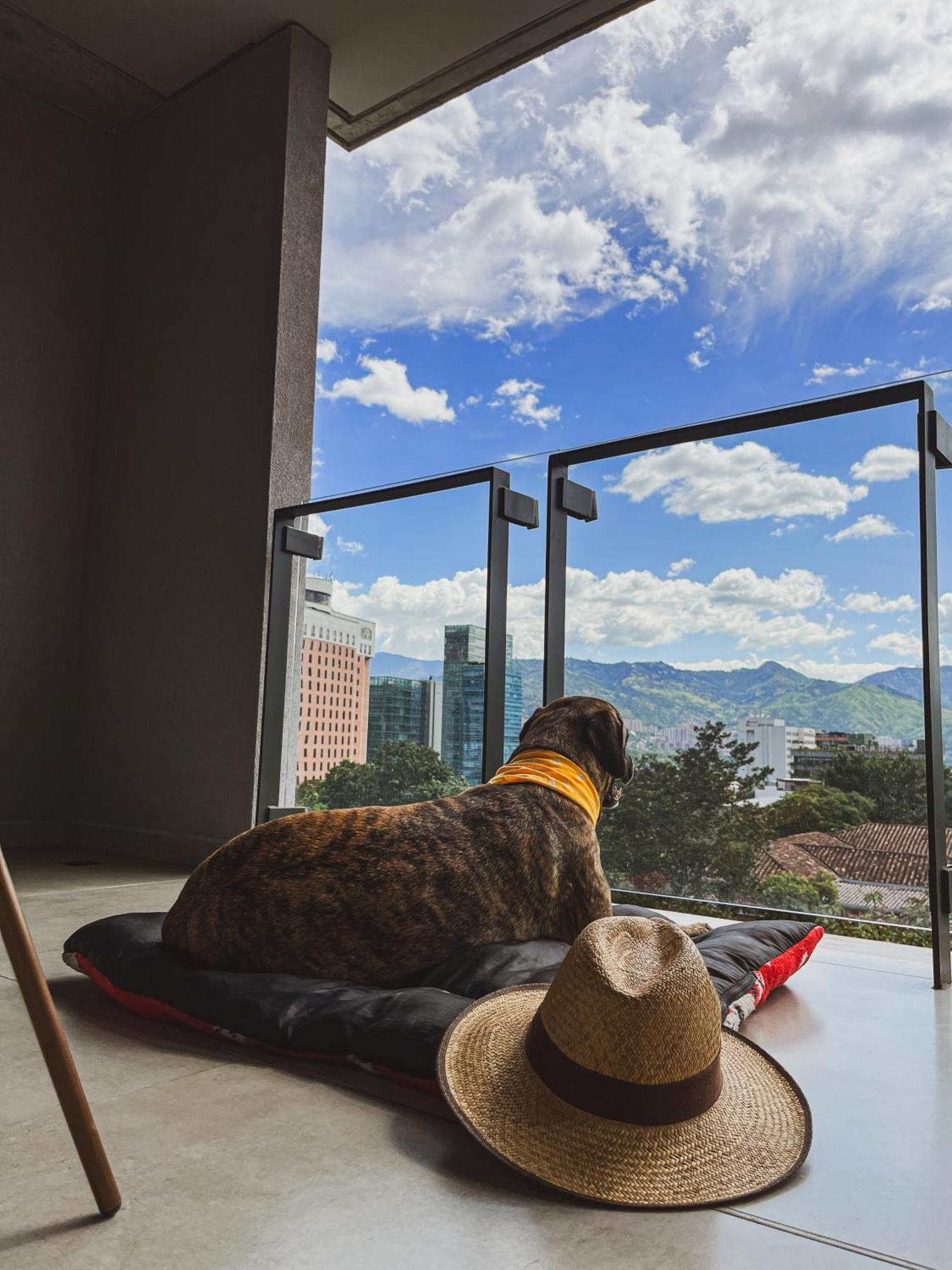 Topa House Medellín Eksteriør bilde