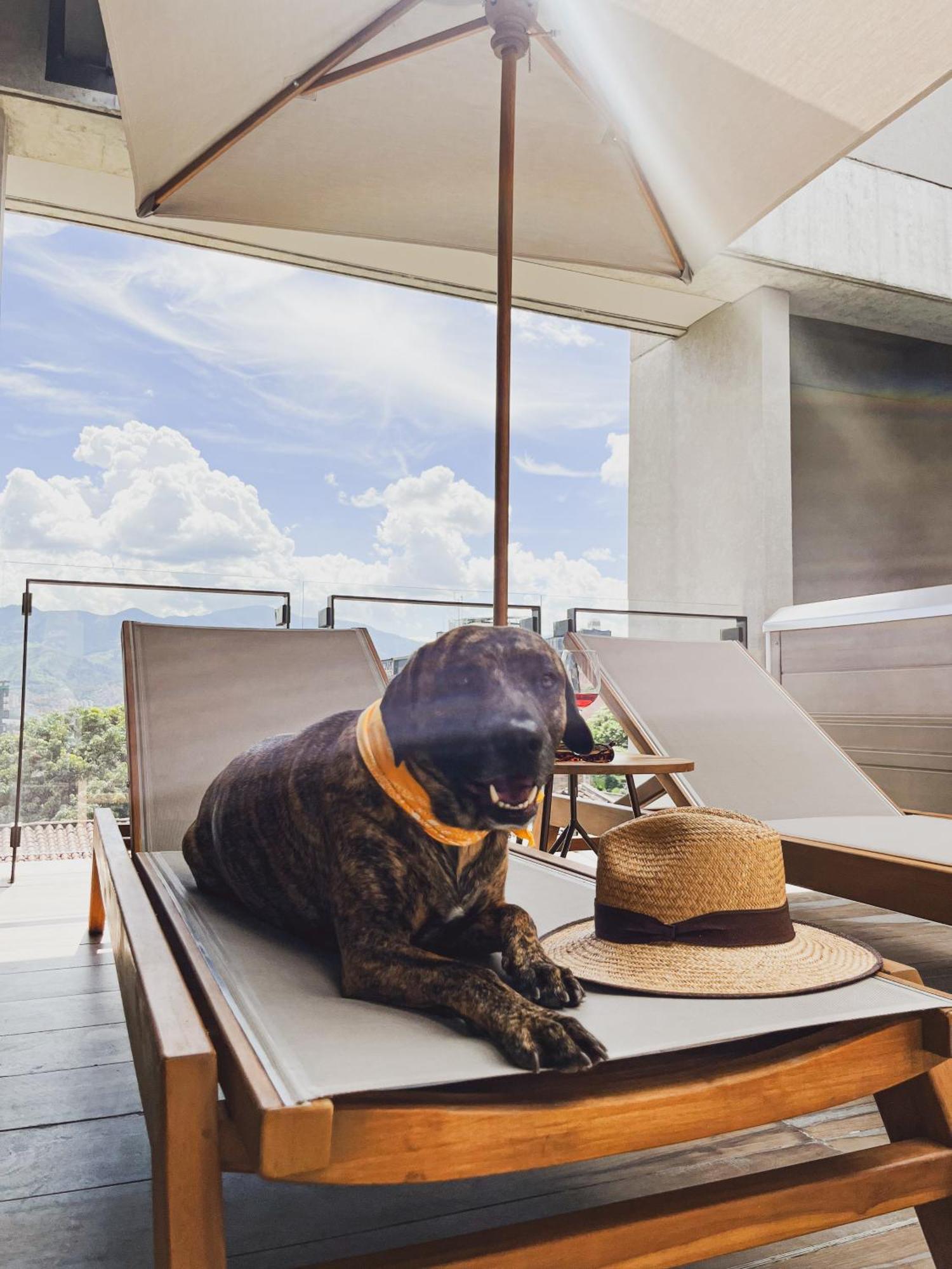 Topa House Medellín Eksteriør bilde